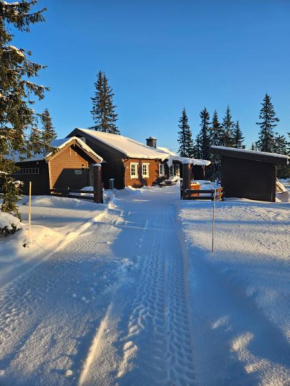 Hytte i Ringsaker (Ljøsheim/Sjusjøen)